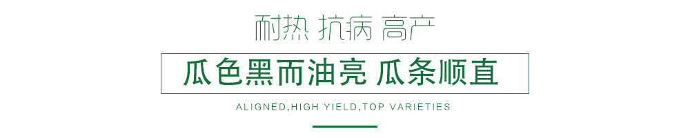 1585990073405951.jpg 03.jpg