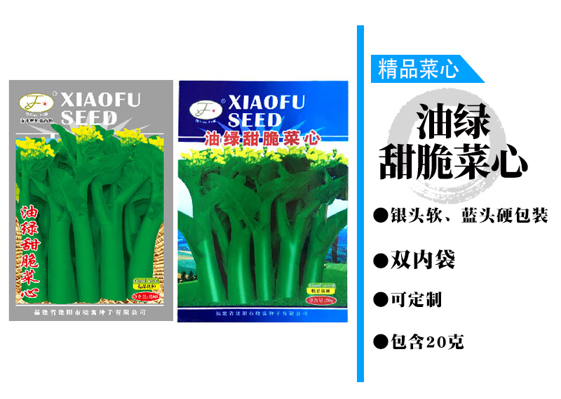 1602036877309922.jpg 油綠甜脆菜心.jpg